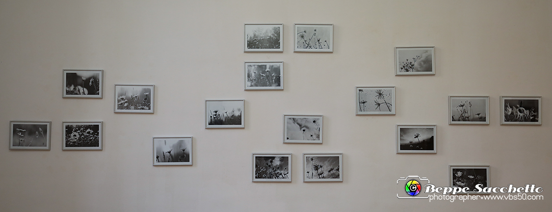 VBS_3945 - Paratissima 2021 - 17.ma Edizione.jpg